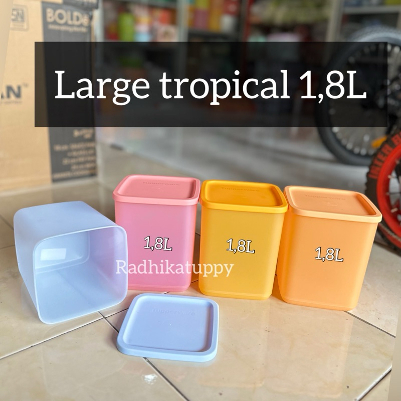 large summer large fiesta tropical toples jajan 1,8L (1)
