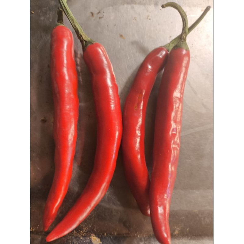 

cabe merah besar berat 500grm