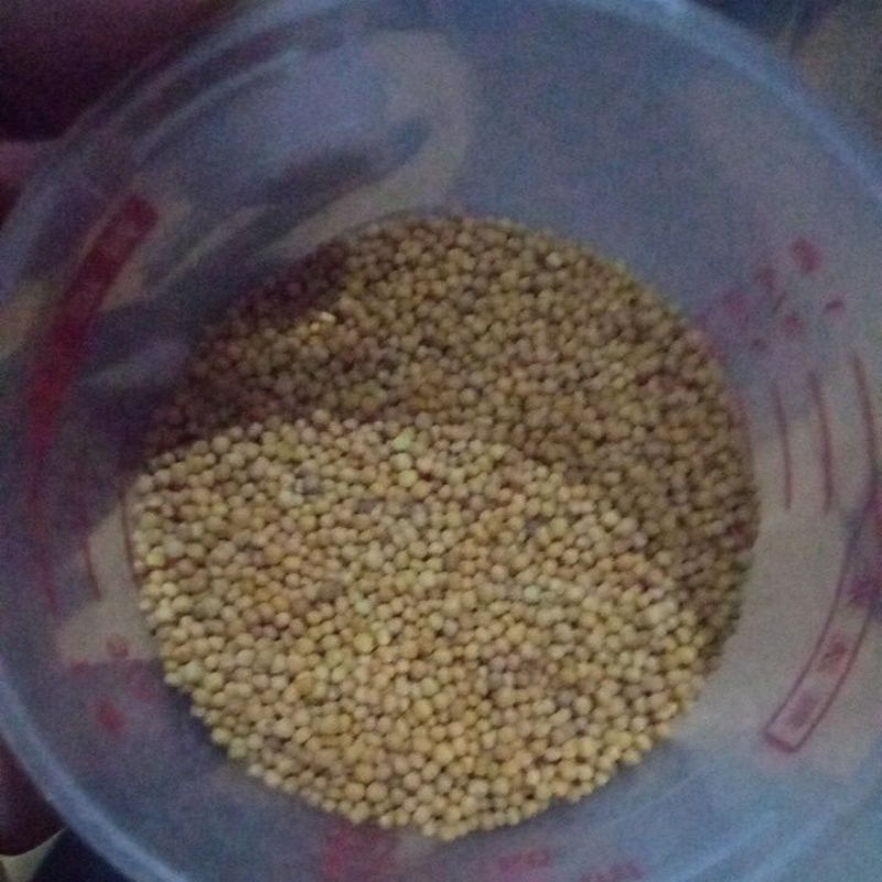 

100gr Yellow mustard seed