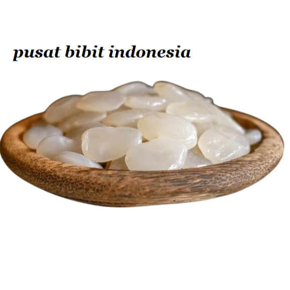 

buah aren/kolang kaling 1 kilo kwalitas premium