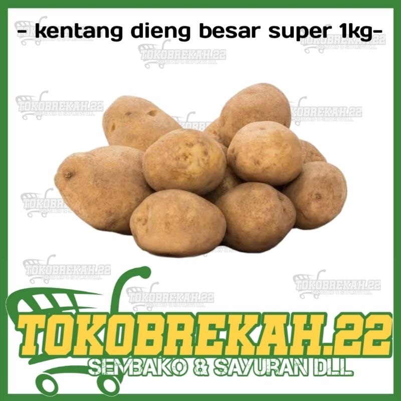 

kentang dieng besar 1kg/500