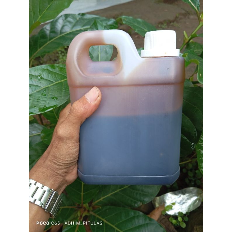 

Madu Akasia 1kilo
