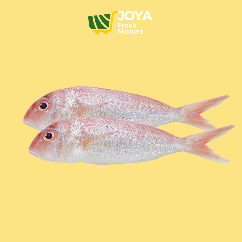 

Joya Fresh - Ikan Merah Segar/Seafood Segar/Ikan Merah Fresh