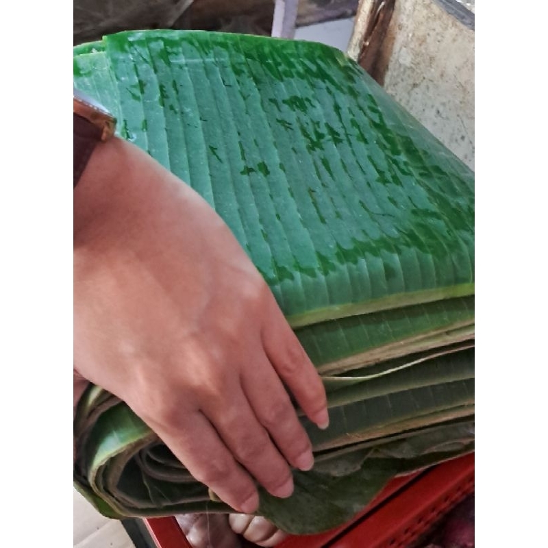 

daun pisang segar