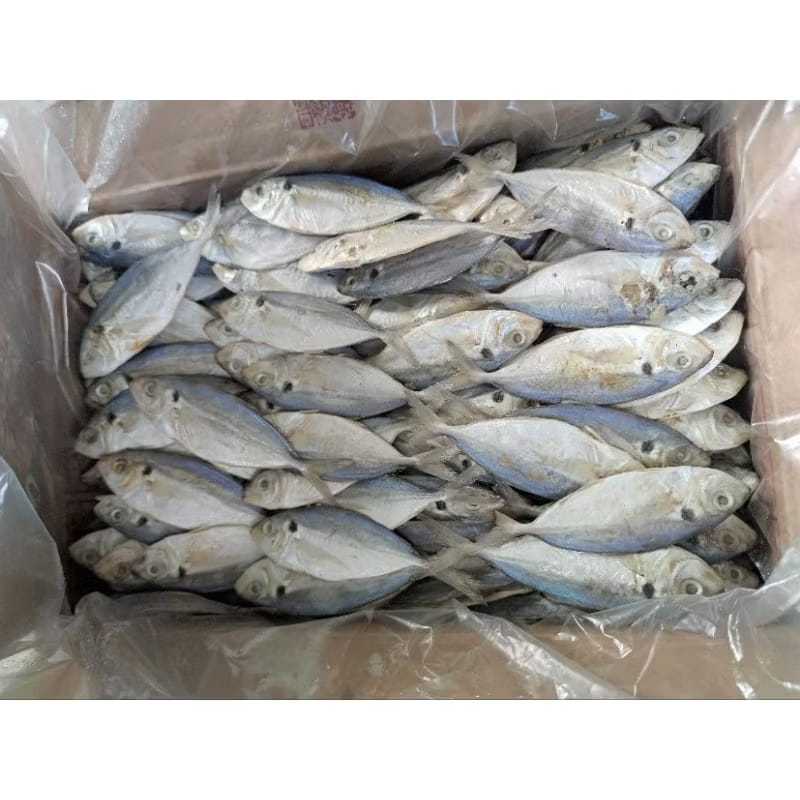 

Ikan asin teh dian-ikan asin selar fresh