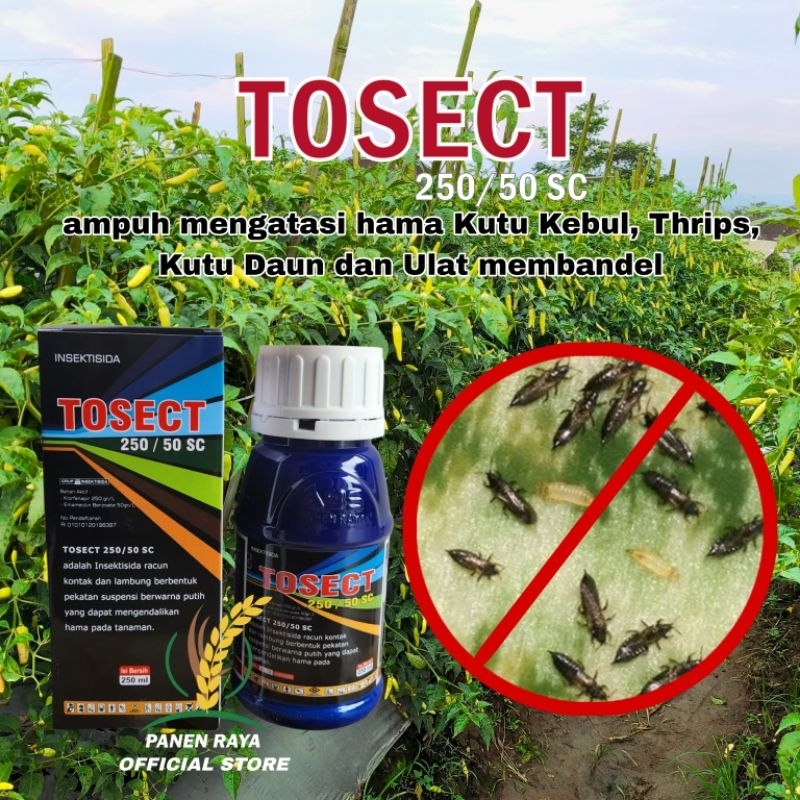 Tosect 250/50 Sc 100 ml