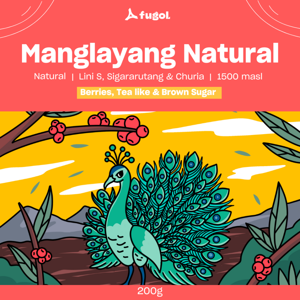 

Biji Kopi Arabika West Java Manglayang Natural (200 gram) Specialty Arabica Coffee