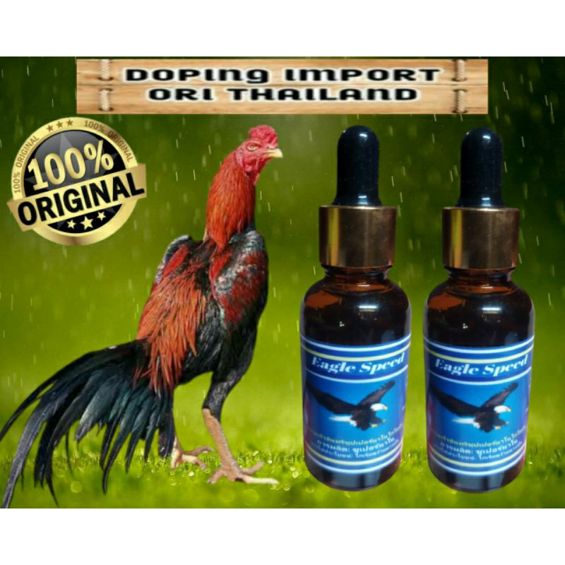 EAGLE SPEED Doping Ayam Aduan Bangkok Laga Anti Gembos