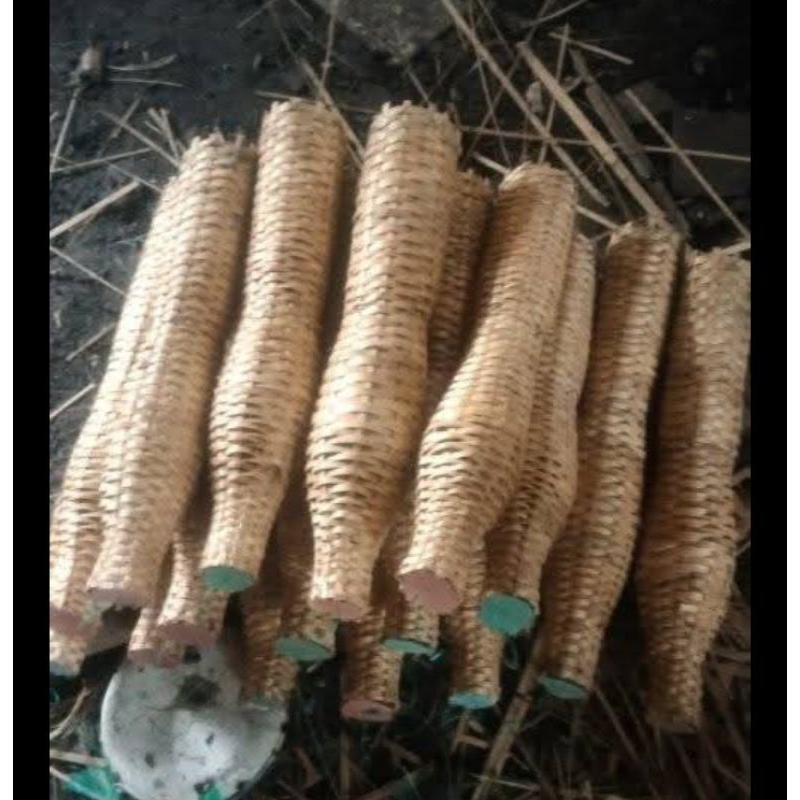 jebakan belut dari bambu