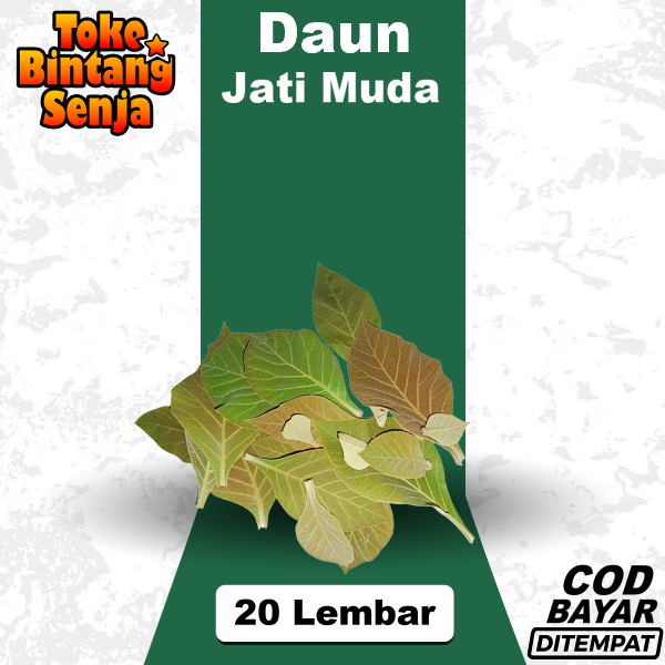 

Daun Jati Muda Per 20 Lembar Pewarna Alami Ecoprint Size Kecil-Sedang