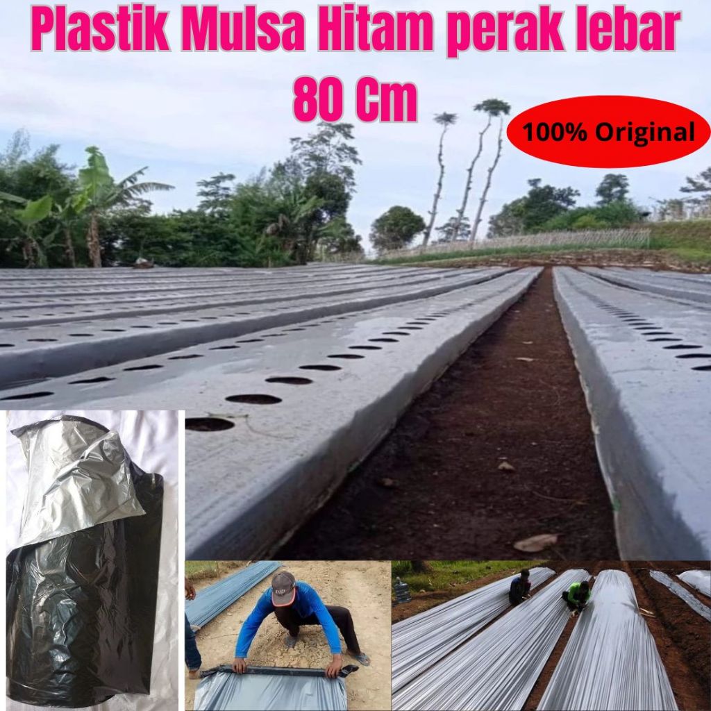 Plastik Mulsa Hitam Perak, Lebar 80 cm, Tebal 035 mm, 1 kg | Mulsa hitam perak lebar 80 cm / 100 cm 