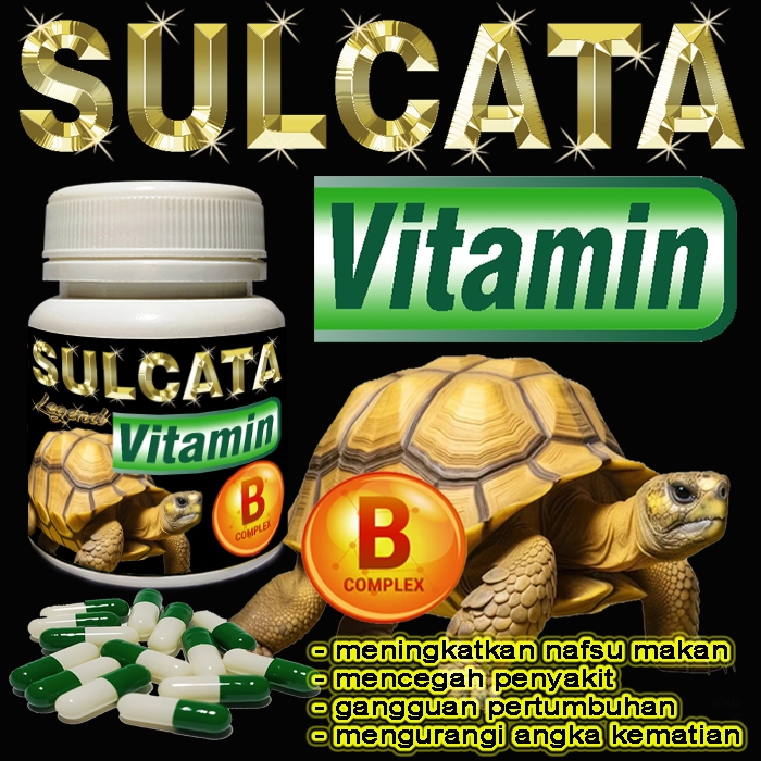 SULCATA VITAMIN BUBUK KAPSUL SUPLEMEN KESEHATAN CENTROCHELYS SULKATA TORTOISE MENYEMBUHKAN GANGGUAN 