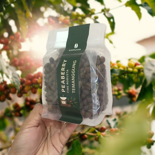 

FINE ROBUSTA TEMANGGUNG PEABERRY 150 GRAM