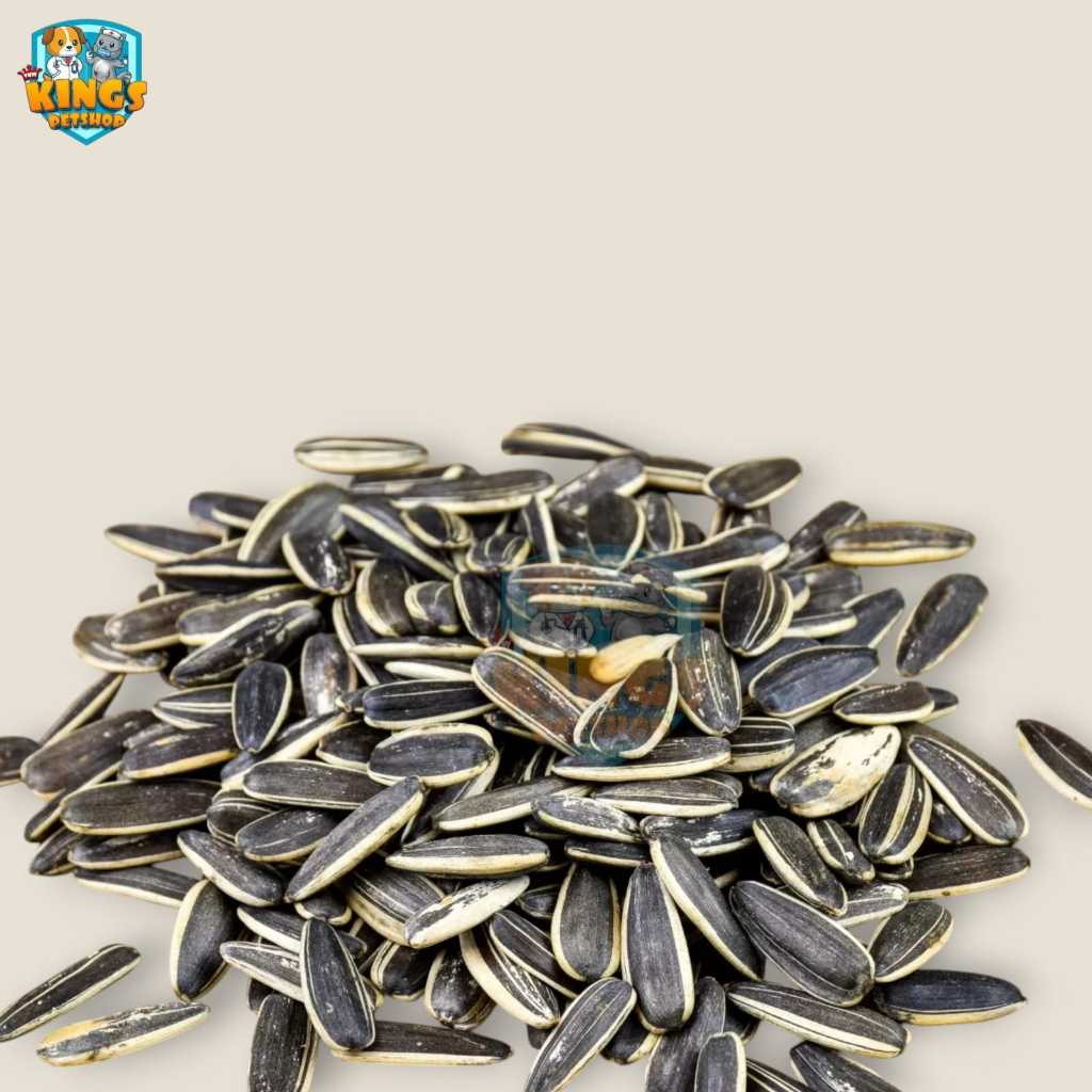 Kuaci Makanan Hamster - Hamsfood Sunflower Seeds