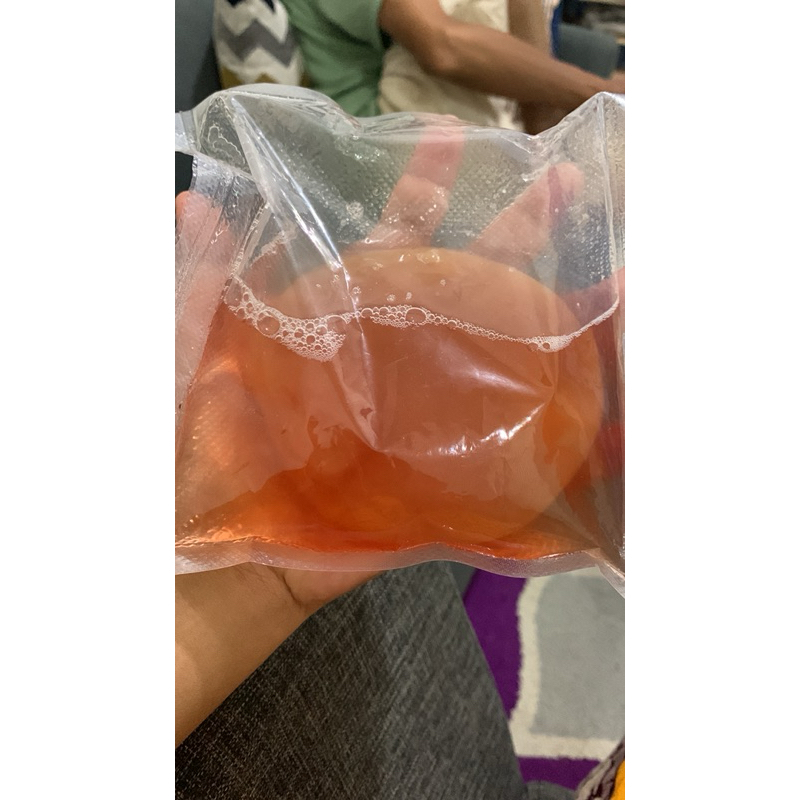 scoby kombucha scoby scoby kombucha premium scoby kombucha premium scoby kombucha starter scoby gel 