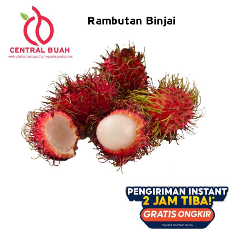 

CENTRAL BUAH - RAMBUTAN BINJAI 1 KG MANIS FRESH & NGELOTOK