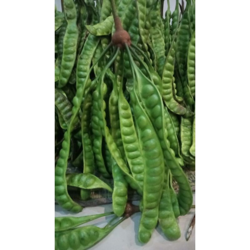 

Pette Super 1 iket (isi 10 lonjor)