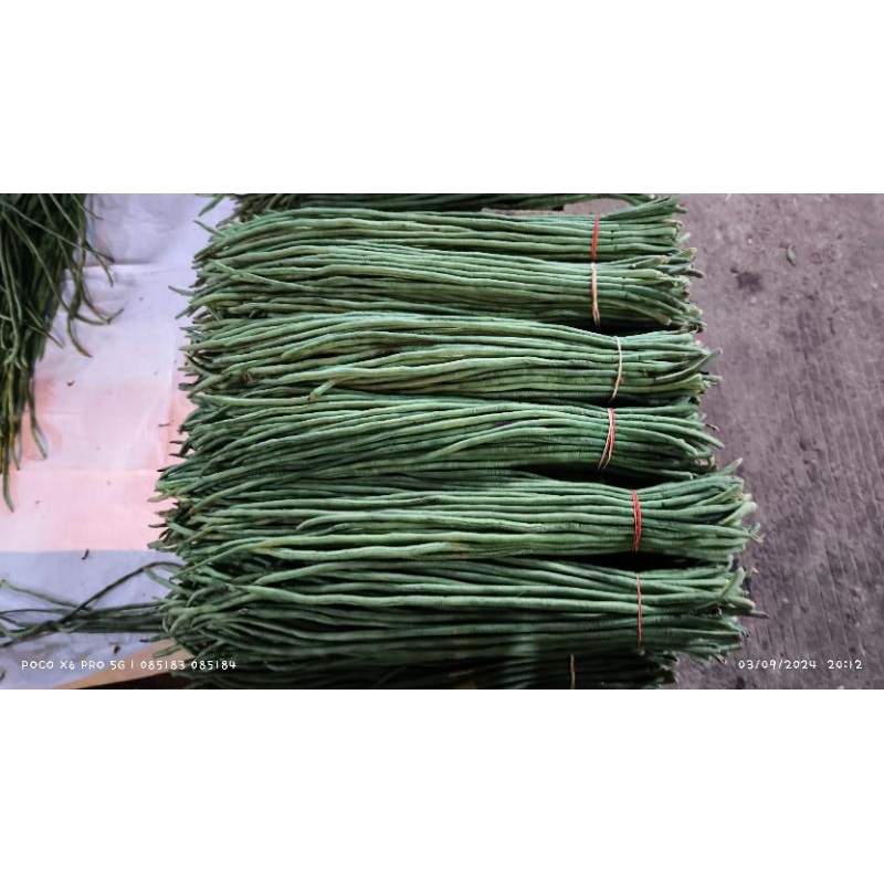 

Sayur Kacang Panjang Fresh 1KG
