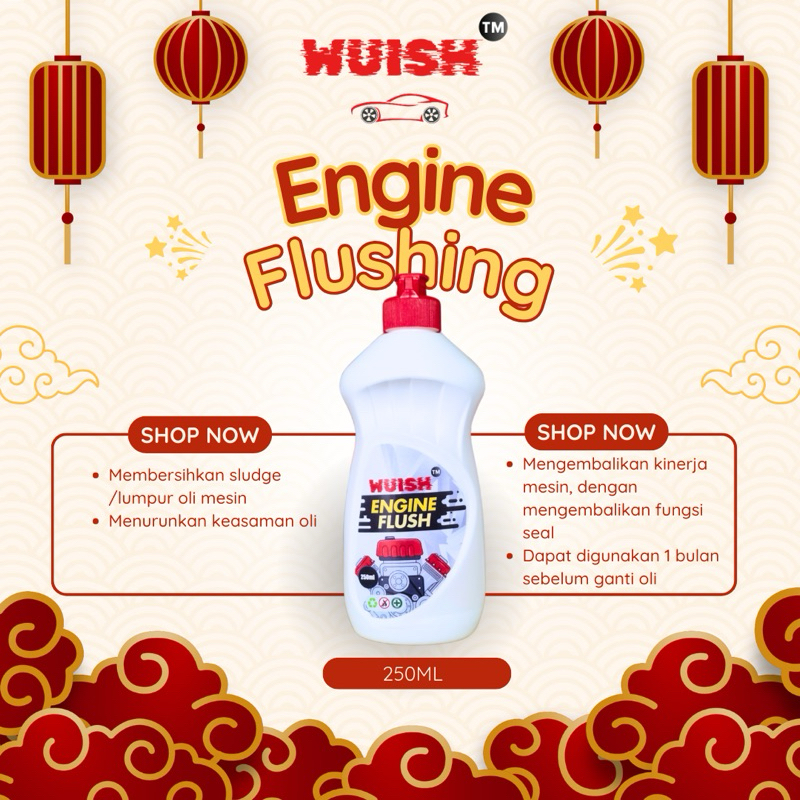 Wuish Engine Flushing 250ml