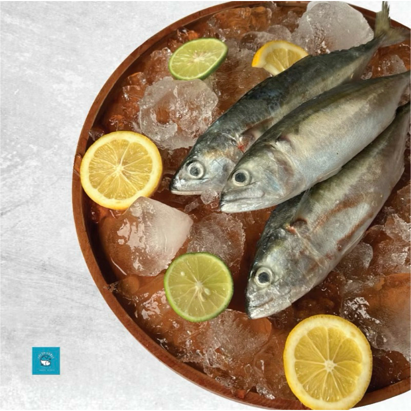 

Ikan Kembung Banjar Size Sedang DIJAMIN SEGAR DAN BERKUALITAS By FreshGoods