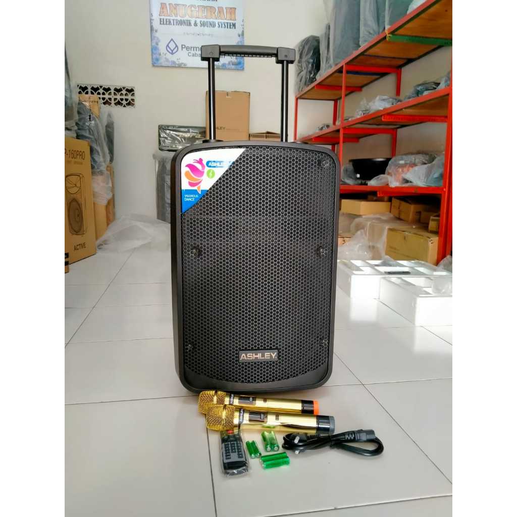 SPEAKER PORTABLE ASHLEY 15" IR500 / IR 500 / IR-500