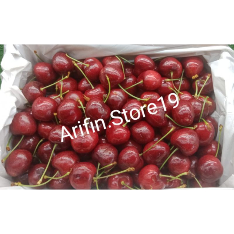 

Cherry Red Tasmania 32-34mm /Cherry 43° South /Manis