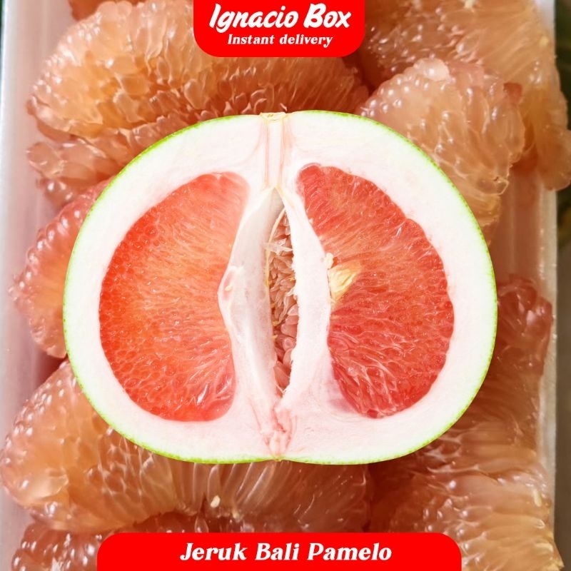 

JERUK BALI PAMELO [ 950-1200Gr ] SUPER SEGAR MASAK POHON