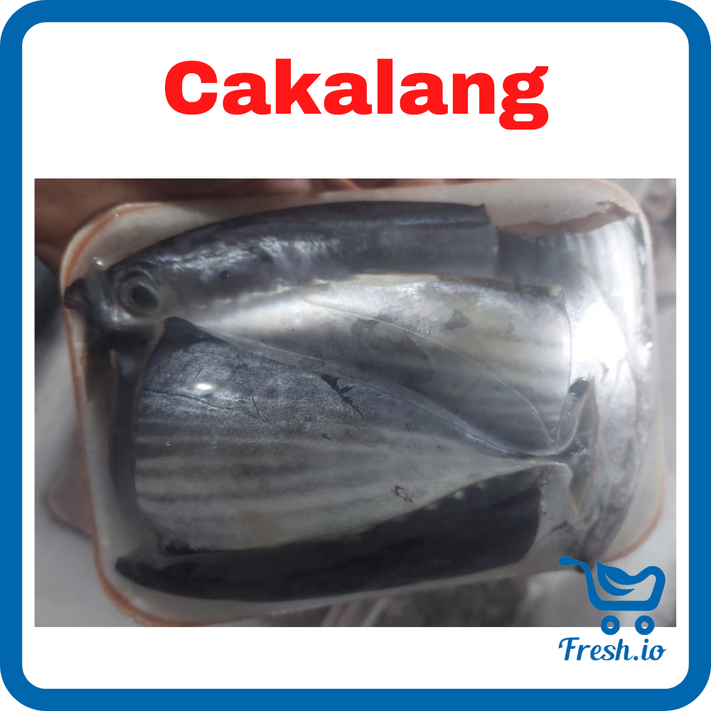 

Ikan Cakalang
