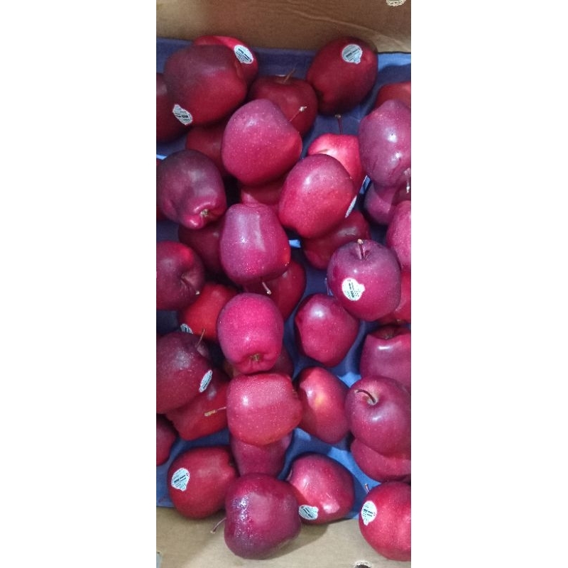 

buah apel washington frash manis 1kg