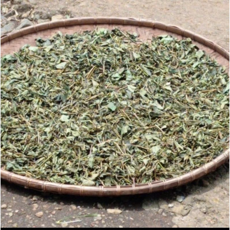 

DAUN PECUT KUDA KERING 500 GRAM