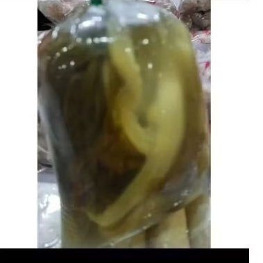 

sawi asin / bungkus. Rp. 13.000