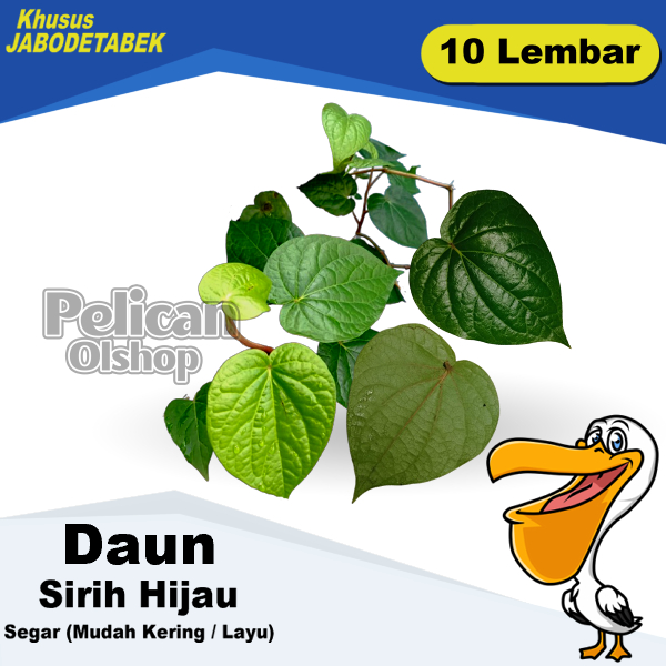 

Daun Sirih Hijau Segar 10 Lembar Obat Herbal Bahan Nyirih