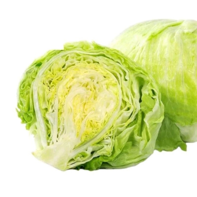 BIJI BENIH SELADA HEAD LETTUCE