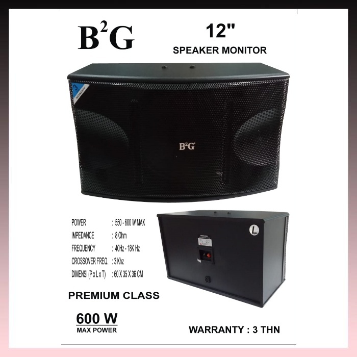 SPEAKER PASIF KAROEKE B2G 12in 12 inch SPEAKER GANTUNG 12" PREMIUM ORIGINAL