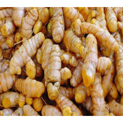 

kunyit / Koneng / kunir Berkualitas