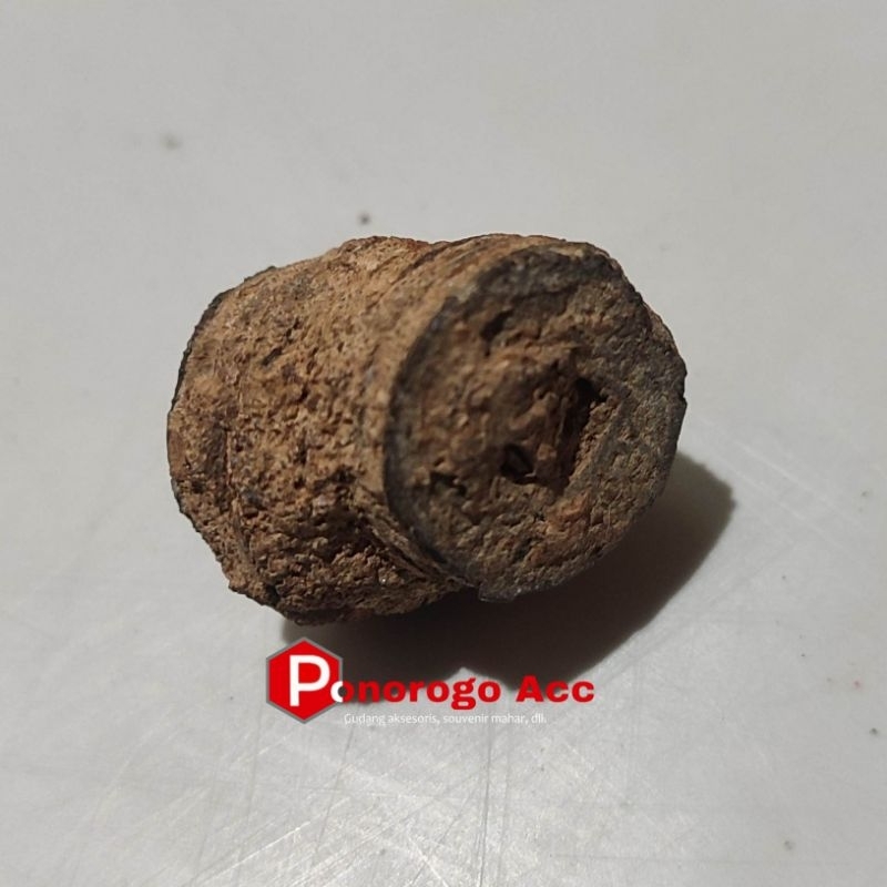 Fosil gobog cina uang kuno gobok jaman dinasti cina