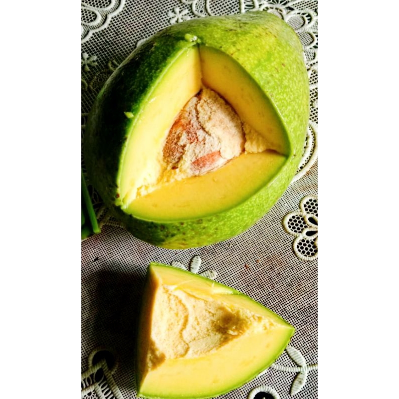 

alpukat mentega Muria 1kg isi 3 4 mentah