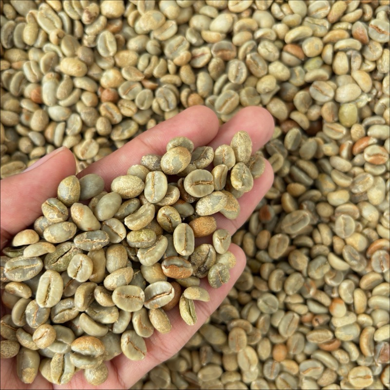 

Arabika Green Beans Natural Process