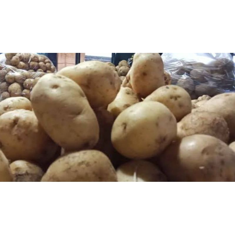 

Kentang Sedang Segar Potato Fresh 250gr 500gr 1000gr / 1kg Sayuran