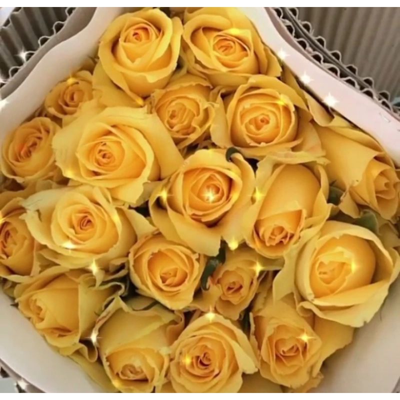 Bunga mawar kuning asli fresh isi 20 tangkai