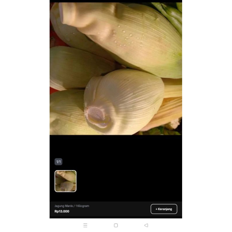 

jagung manis 1000gram