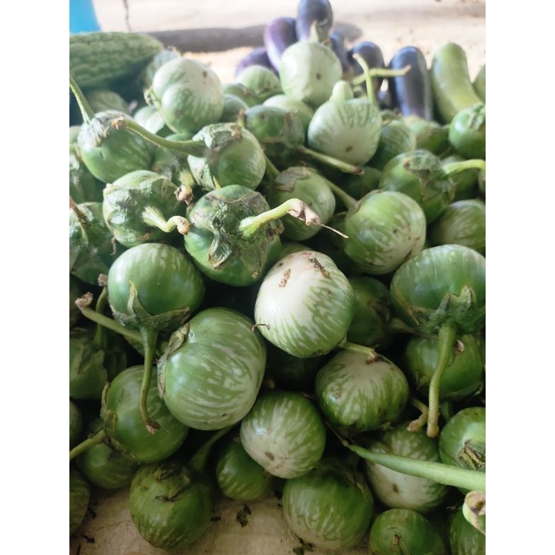 

Terong lalap ( terong belanda) kemasan 500 gram