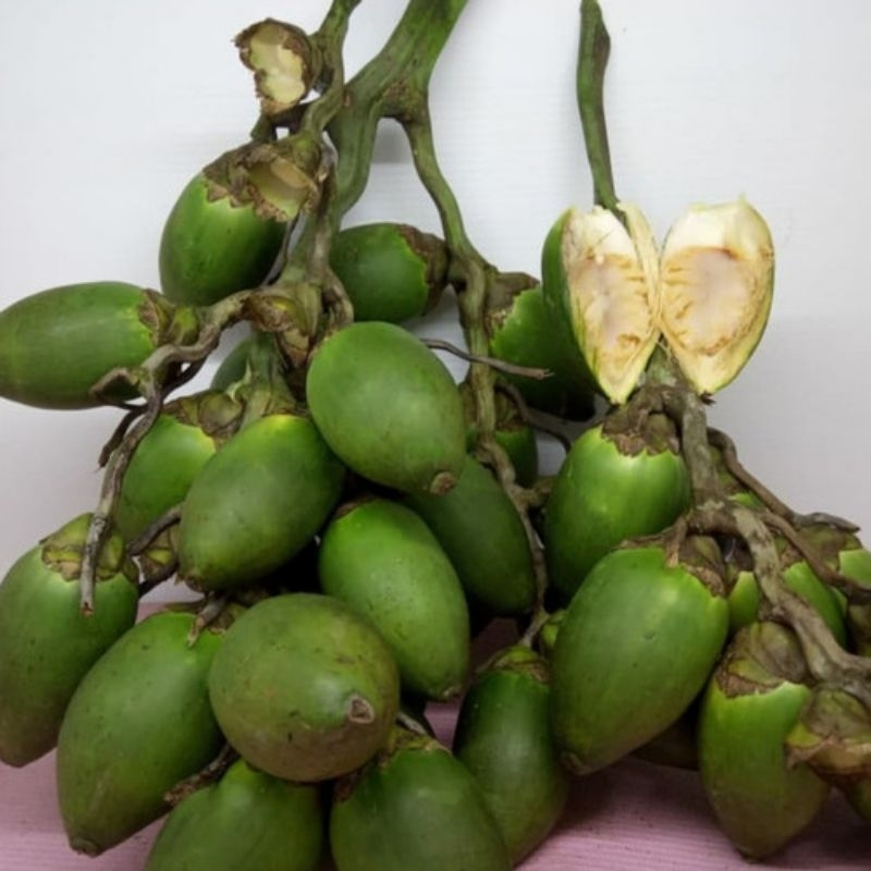 

Buah Pinang Muda/Obat Kuat/Jambe Muda Fres 250 gram