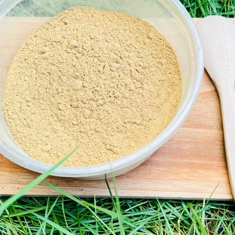 

(100g) Bubuk Keladi Tikus Bubuk MURNI Kering Herbal Tradisional Jurus Sehat Rempah JSR