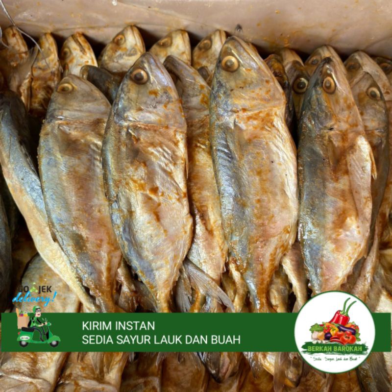 

IKAN ASIN PEDA MERAH 3 PSC 10RB UKURAN SEDANG