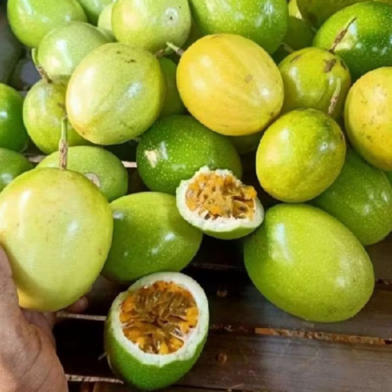 

Buah markisa kuning fresh