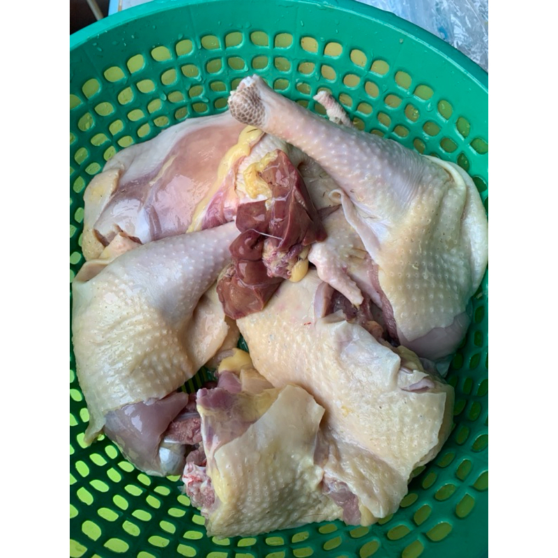 Ayam Kampung Asli potong dadakan