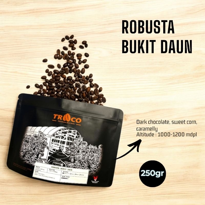 

KOPI ROBUSTA BUKIT DAUN REJANG LEBONG