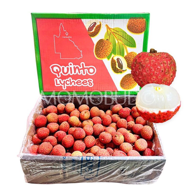 

promo Lychee red sweet fresh gift box | Buah leci merah manis box kg kg