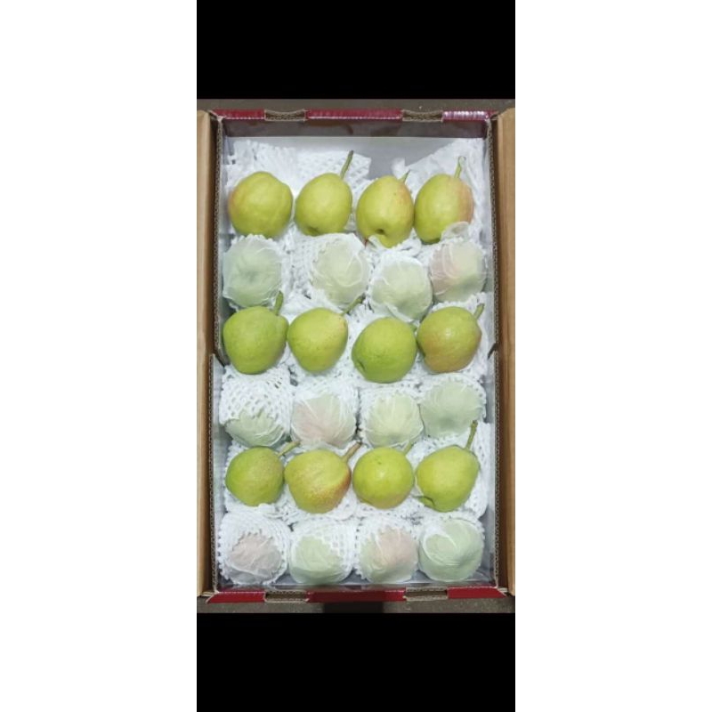 

pir xianglie maniisss crunchy berat 6kg.